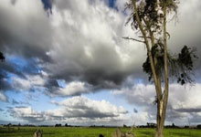 股票开户所具备的条件:配资炒股优选-狂买49亿股！险资二季度重仓买了这些 投资者能“抄作业”吗